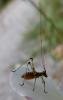 86569 – Photo : Bernigaud Noe – France (06)