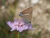 86712 – Photo : Matthieu Gauvain – France (84)