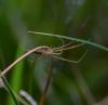 86862 – Photo : Josselyne Bayle – France (33)