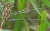86770 – Photo : Viviane Godenne – Belgique