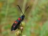 86711 – Photo : Matthieu Gauvain – France (84)