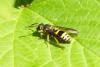 87098 – Photo : Nicolas Alric – France (12)