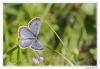 87446 – Photo : Denis Girard – France (74)
