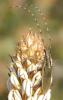 87600 – Photo : Pascal Vigneron – France (13)