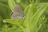 87534 – Photo : Adrien Broni – France (02)