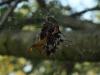 87935 – Photo : Matthieu Gauvain – France (13)