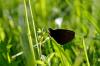87356 – Photo : Aurelien Costes – France (12)