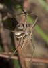 87068 – Photo : Francois Diemert – France (44)