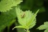 87230 – Photo : Manu – France (02)