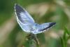 87280 – Photo : Michel Ehrhardt – France (68)