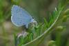 87279 – Photo : Michel Ehrhardt – France (68)