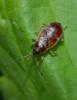 87452 – Photo : Sebastien Damoiseau – France (18)