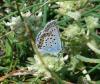 87477 – Photo : Laurent Palussiere – France (13)
