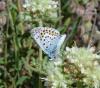 87476 – Photo : Laurent Palussiere – France (13)