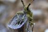 87480 – Photo : Jules d'Oc – France (34)