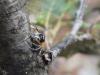 87367 – Photo : Matthieu Gauvain – France (84)