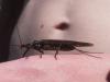87498 – Photo : Matthieu Gauvain – France (73)