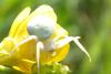 88401 – Photo : Nicolas Alric – France (12)