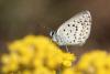 88906 – Photo : Christophe Germain – France (20)