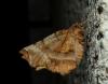 88520 – Photo : Vincent VALLI – France (10)