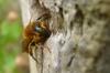 88748 – Photo : Phil – France (40)