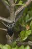 88209 – Photo : Michel Renou – France (04)