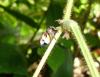 88015 – Photo : X.leen – Thaïlande