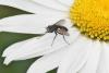 88459 – Photo : Michel Mathieu – France (14)