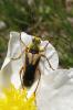88593 – Photo : Anne Forgues – Portugal