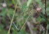 88491 – Photo : alain Roujas – France (31)