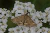 88016 – Photo : Michel Ehrhardt – France (68)