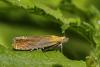 88023 – Photo : Marc Solari – France (68)