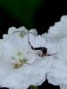 88506 – Photo : Vincent VALLI – France (10)