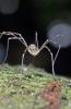 88584 – Photo : Christophe Quintin – France (21)