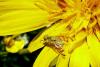 88679 – Photo : Patrick Le Mao – France (73)