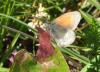 88851 – Photo : Guillaume Chorgnon – France (74)