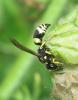 88480 – Photo : gauthier – France (38)