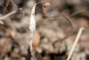 88118 – Photo : jean louis Besson – France (06)