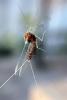 89030 – Photo : Nicolas Alric – France (12)