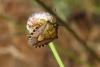 89824 – Photo : Nicolas Alric – France (12)