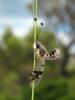 89523 – Photo : Luc Dietrich – France (13)