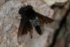 89234 – Photo : Christophe Germain – France (20)