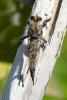 89627 – Photo : Chrystelle Balta – France (13)
