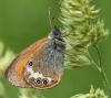 89071 – Photo : Pierre SENGEZ – France (04)