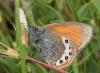 89069 – Photo : Pierre SENGEZ – France (05)