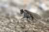 89713 – Photo : Christophe Quintin – France (22)