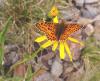 89579 – Photo : Arnaud Jean-Pierre – France (09)