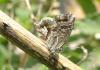 89852 – Photo : OCIS – France (04)