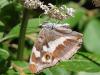 89820 – Photo : OCIS – France (04)