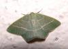 89500 – Photo : Arnaud Jean-Pierre – France (09)